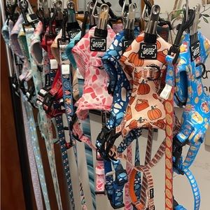 Sassy Woof dog harness sets